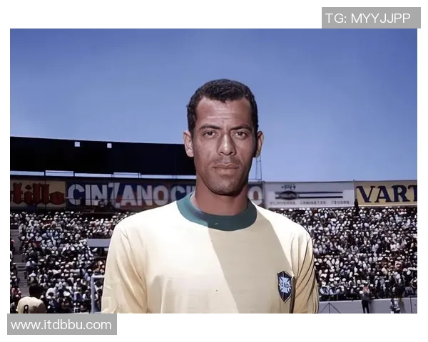 足球明星的魅力与成就全面解析及其对全球足球文化的影响 足球明星的魅力与成就全面解析及其对全球足球文化的影响